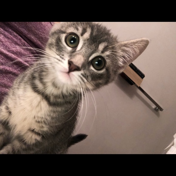 Bea - Picture 7 of 8